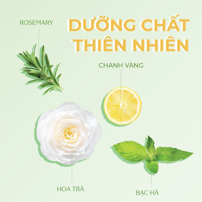 Cặp gội - xả Tsubaki Premium Cool bạc hà mát lạnh 490ml (màu xanh)